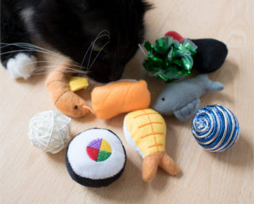 FREE Cat Toy or Treat