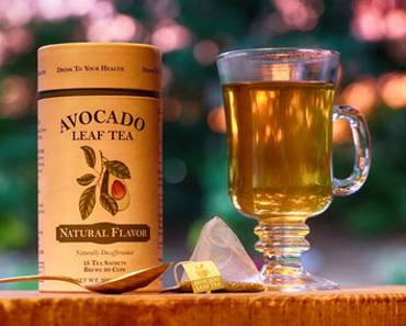 FREE Sample of Avocado Leaf Tea
