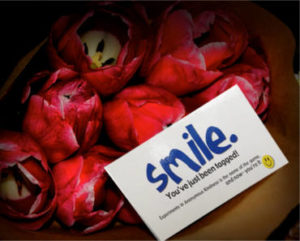 FREE Smile Cards