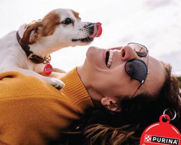 FREE Purina SuperPet Smart ID Tag